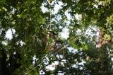 Secteur Postal 212 5 * 5616 x 3744 * (7.2MB)